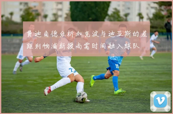 费迪南德分析加克波与迪亚斯的差距利物浦新援尚需时间融入球队